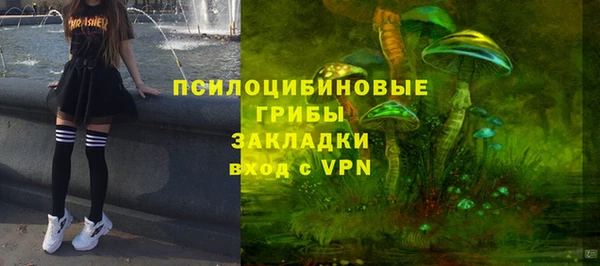 прущая мука Сатка